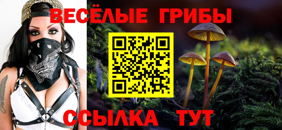 Галлюциногенные грибы мухоморы  Псилоцибиновые грибы Psilocybe  Химки  Вход с VPN 