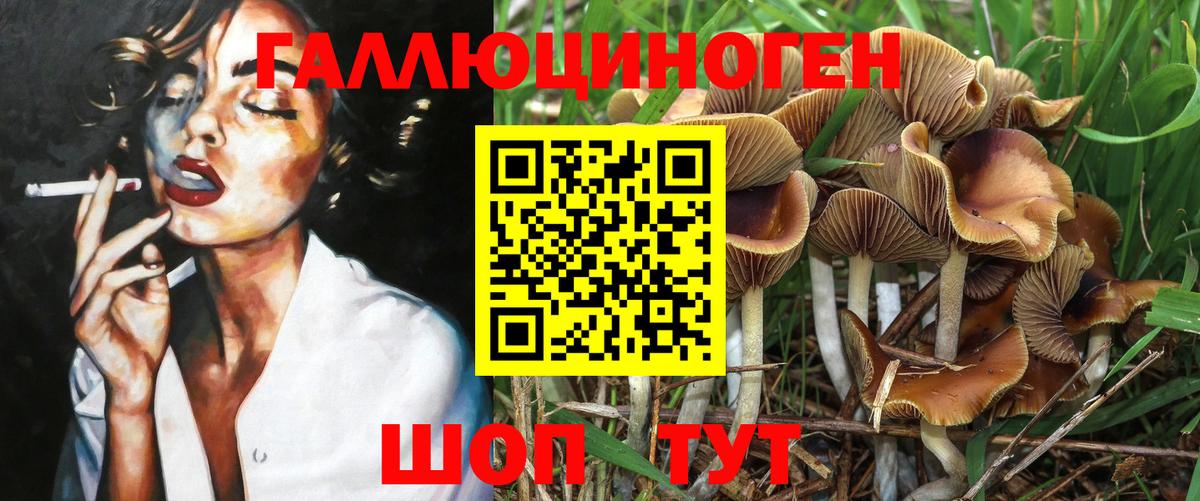 Псилоцибиновые грибы прущие грибы Химки